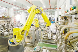 江门日报多媒体报刊的技术开发与数字化转型